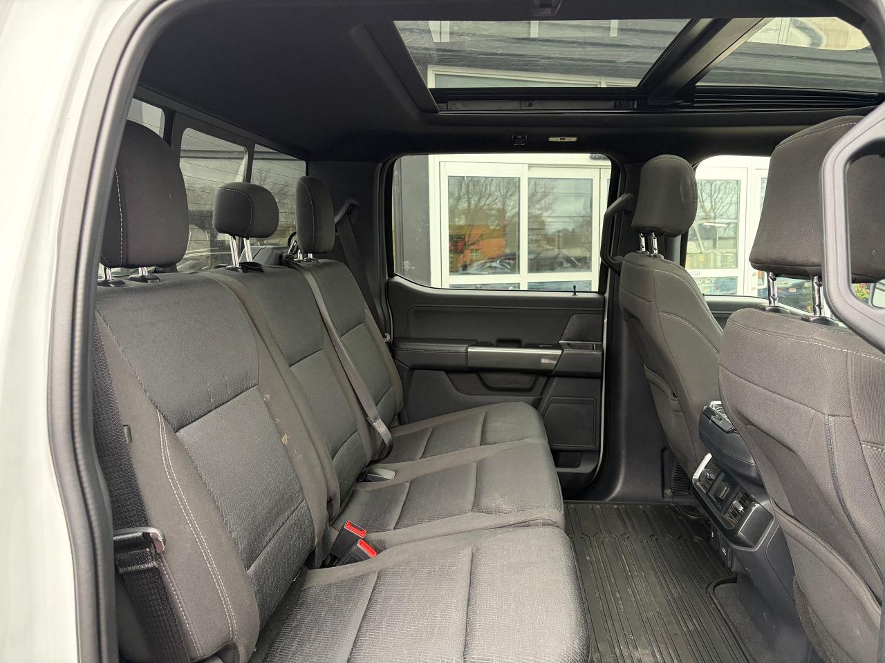 2023 Ford F-150 XLT Photo