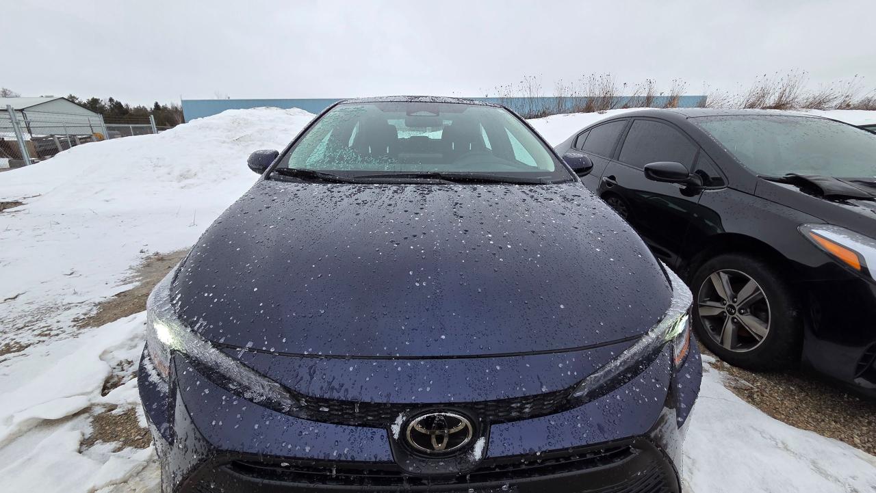 2026 Toyota Corolla LE Photo