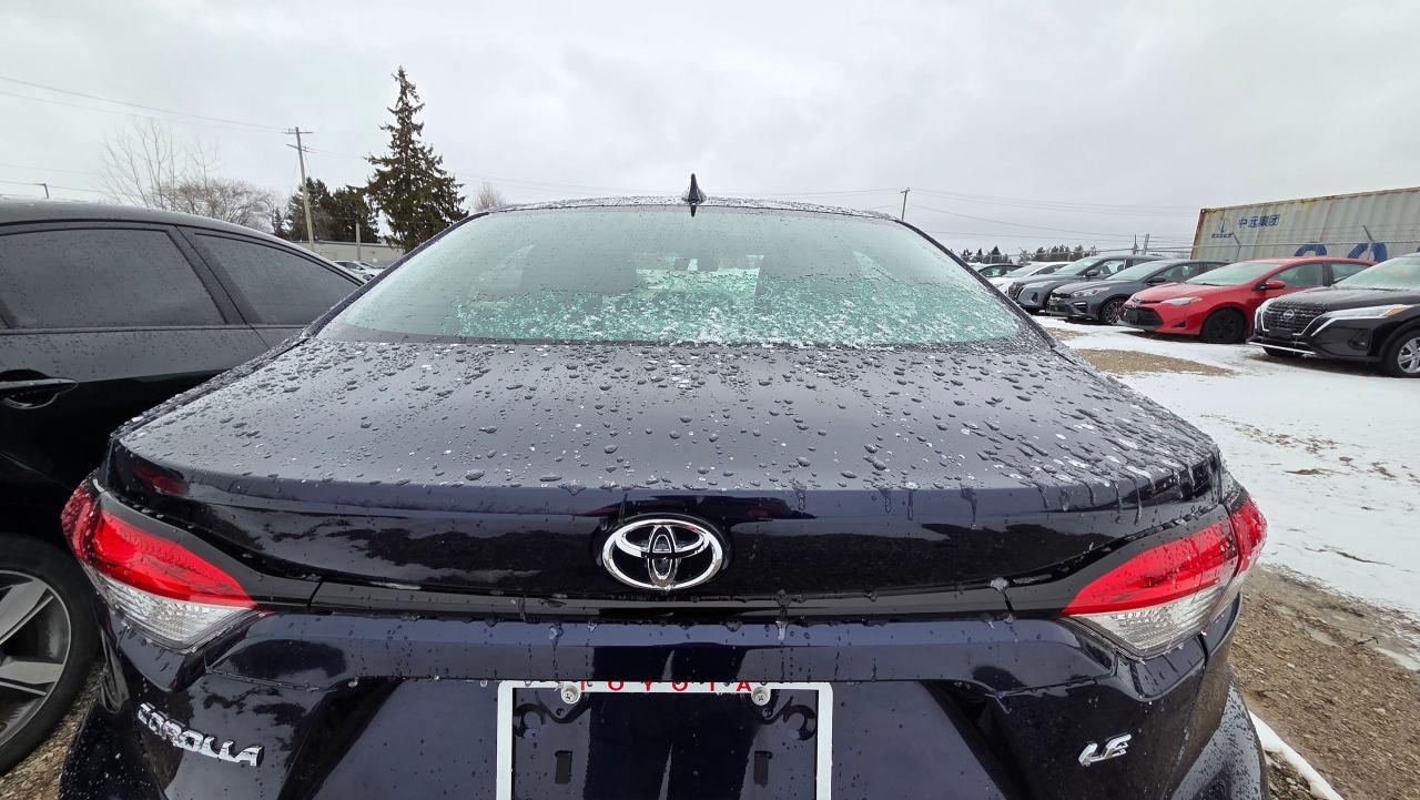 2026 Toyota Corolla LE Photo