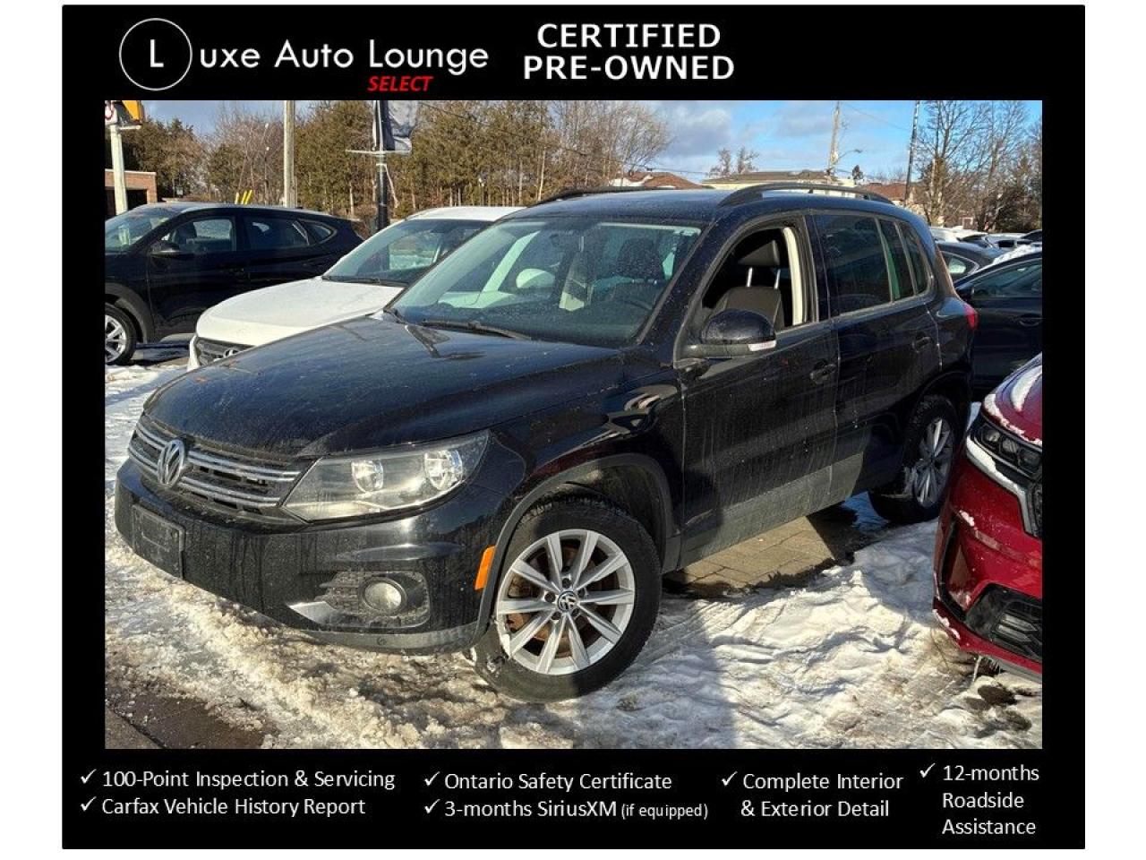 2015 Volkswagen Tiguan Special Edition! ONE OWNER, DEALER-MAINTAINED!