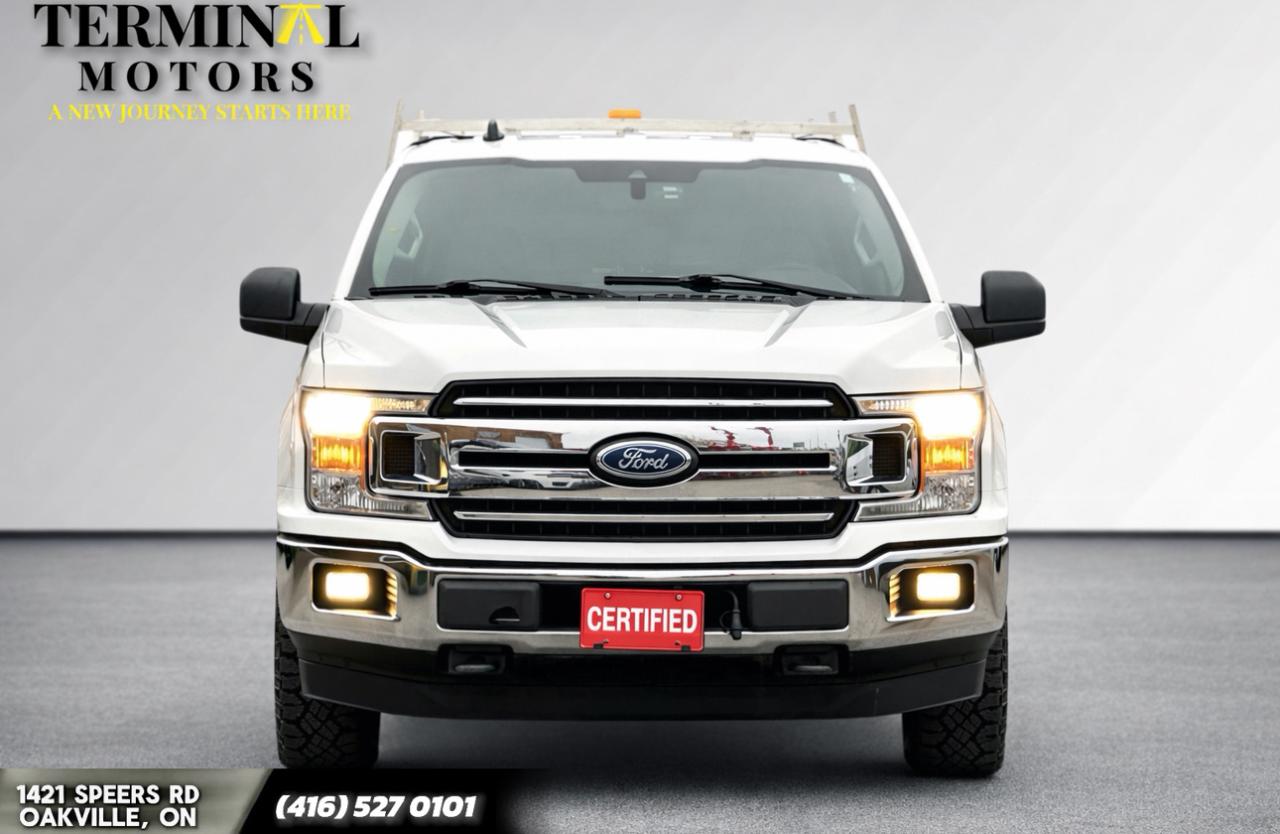 2019 Ford F-150 XLT Photo