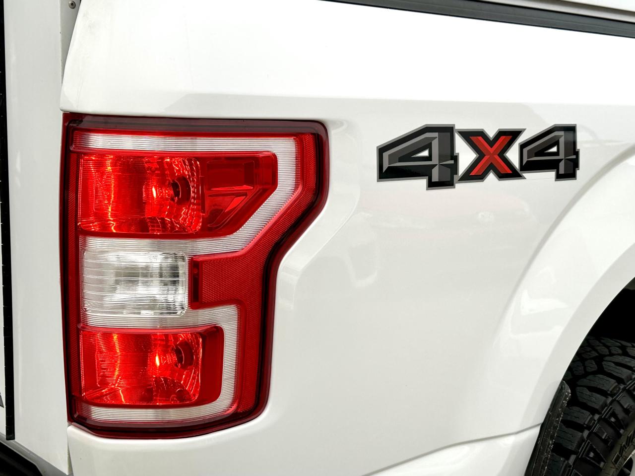 2019 Ford F-150 XLT Photo