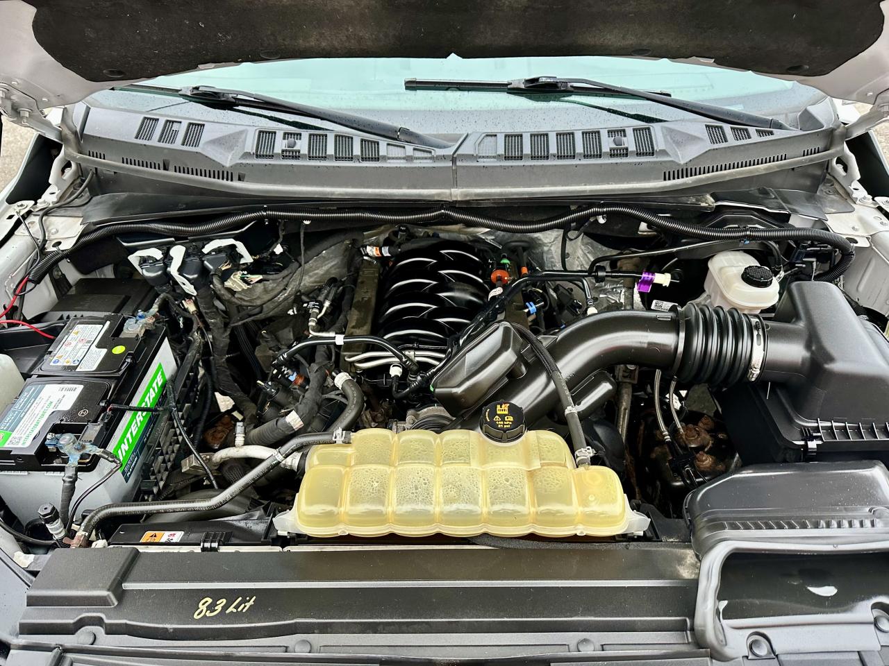 2019 Ford F-150 XLT Photo