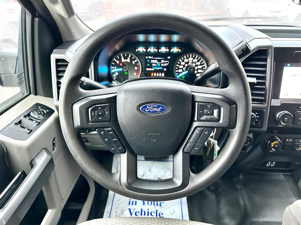 2019 Ford F-150 XLT Photo
