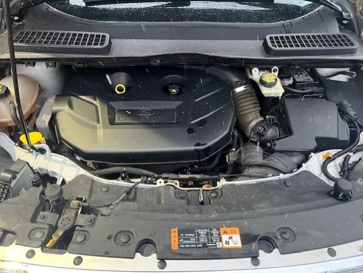 2017 Ford Escape 4WD 4DR TITANIUM Photo