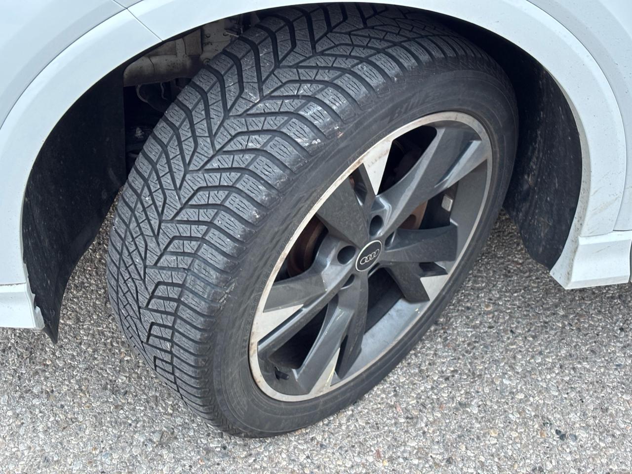 2023 Audi Q4 e-tron 50 quattro Photo