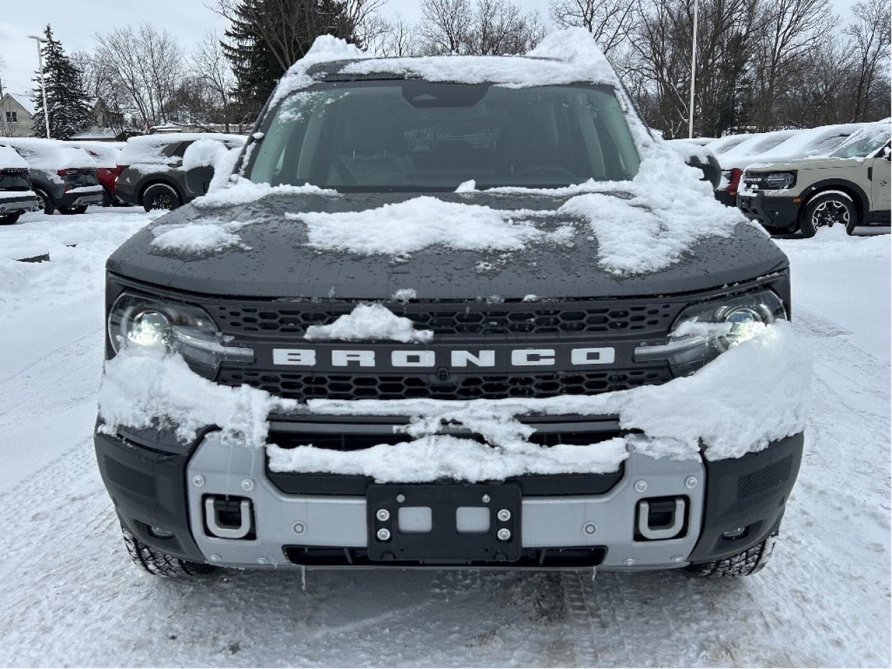 2025 Ford Bronco Sport BADLANDS 4x4 400A Photo