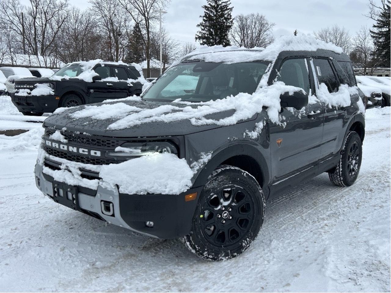 2025 Ford Bronco Sport BADLANDS 4x4 400A Photo