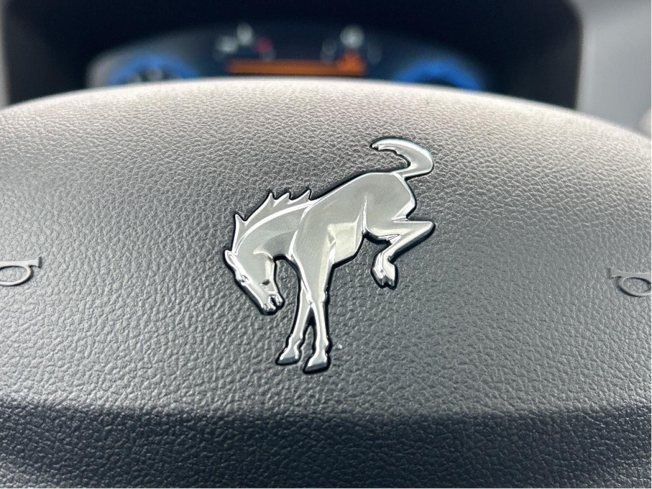 2025 Ford Bronco Sport BADLANDS 4x4 400A Photo