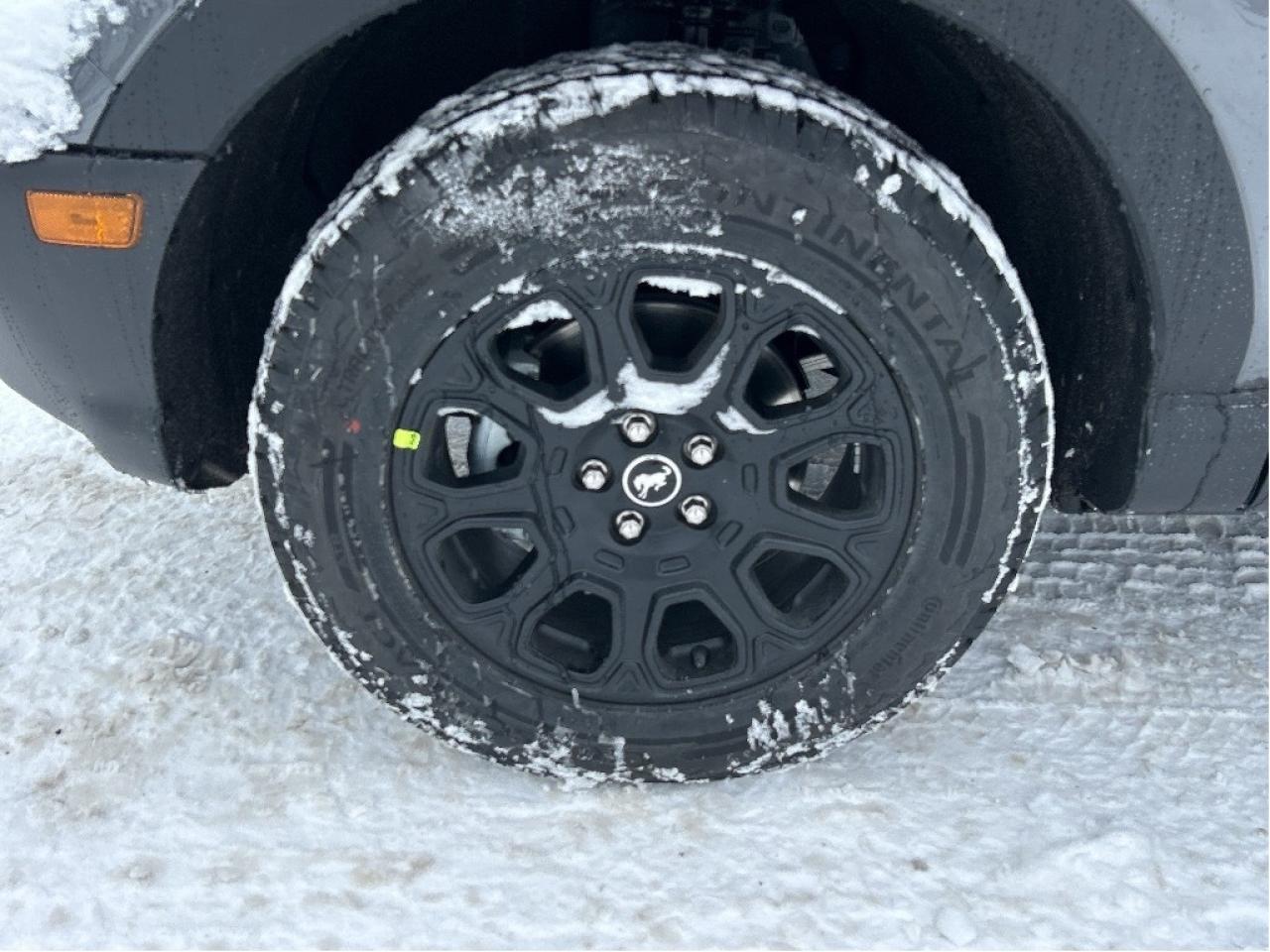 2025 Ford Bronco Sport BADLANDS 4x4 400A Photo