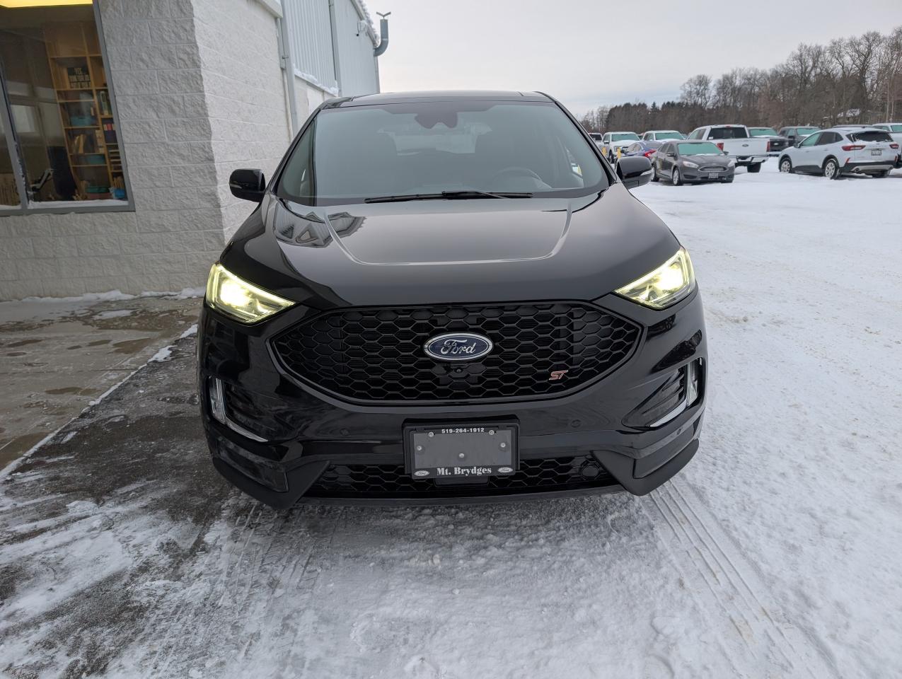 2021 Ford Edge ST Photo