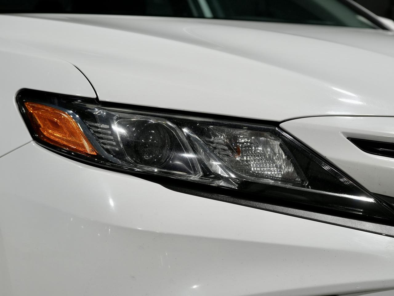 2019 Toyota Camry SE /ROOF/CARPLAY/COLLISION AVOIDANCE/NO ACCIDENTS Photo