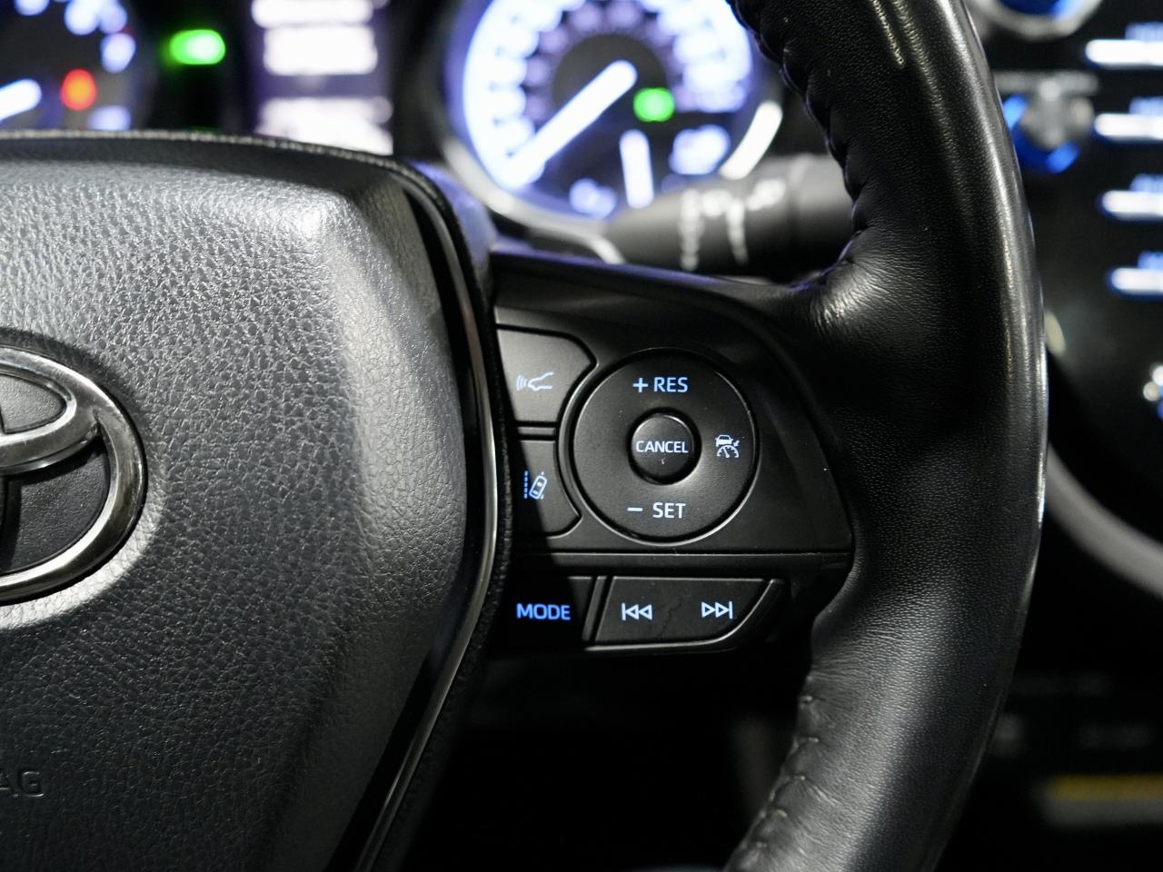 2019 Toyota Camry SE /ROOF/CARPLAY/COLLISION AVOIDANCE/NO ACCIDENTS Photo