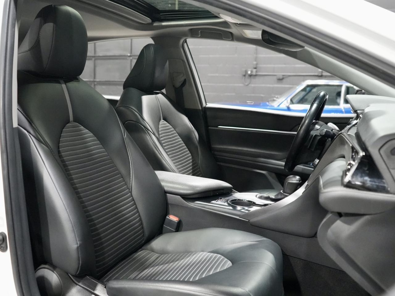 2019 Toyota Camry SE /ROOF/CARPLAY/COLLISION AVOIDANCE/NO ACCIDENTS Photo