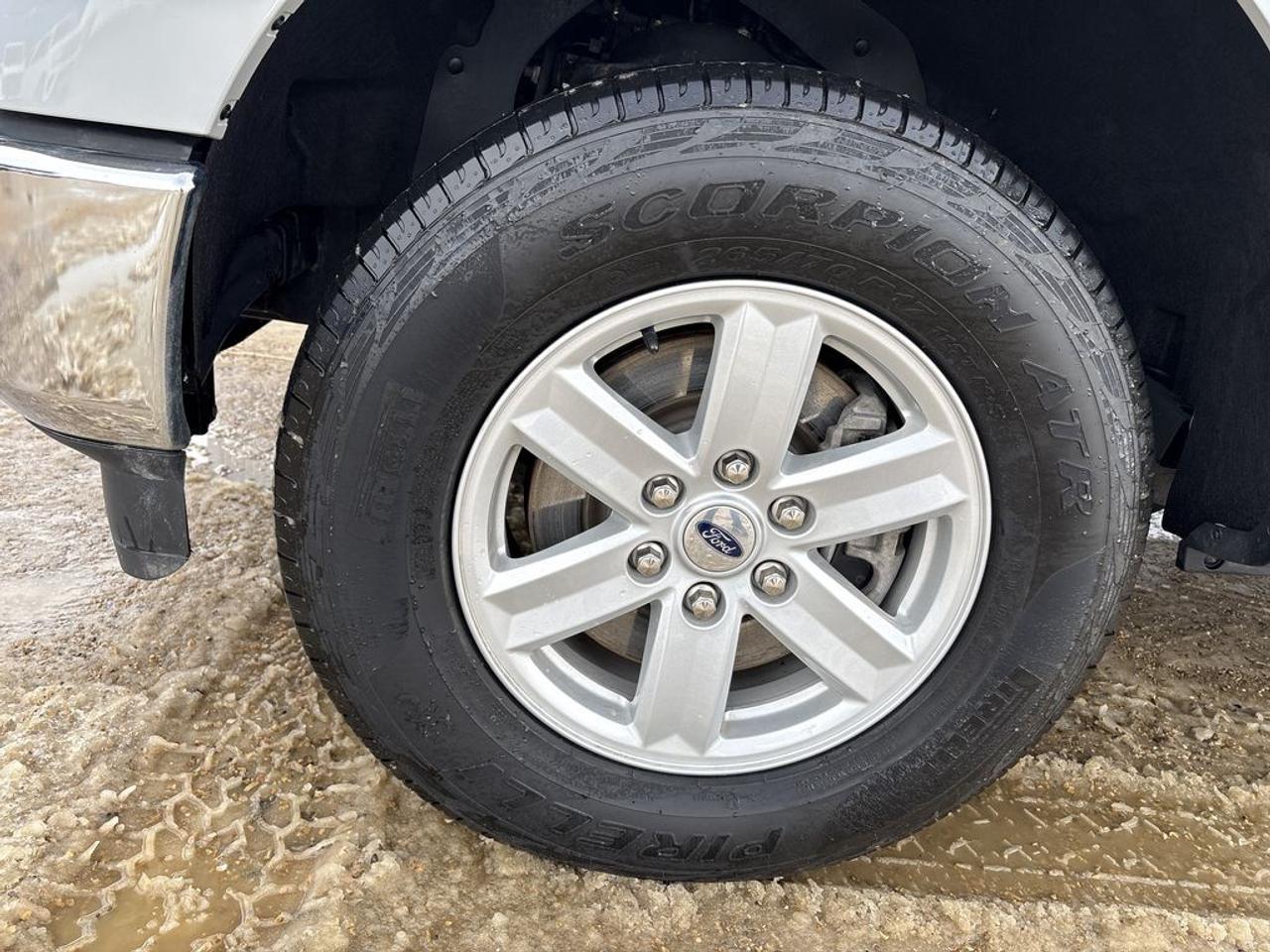 2023 Ford F-150 XLT Photo3