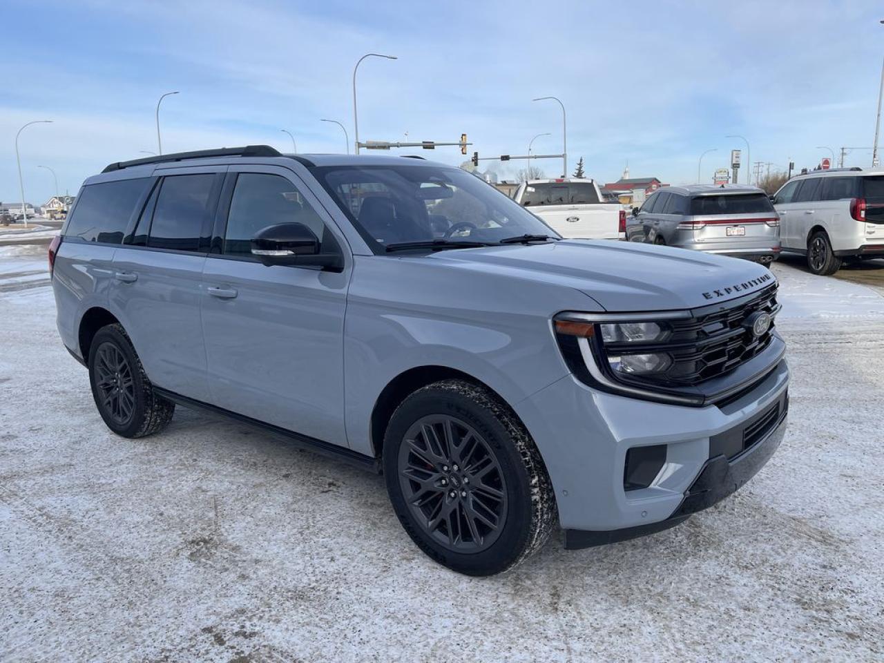 2025 Ford Expedition Platinum Photo0