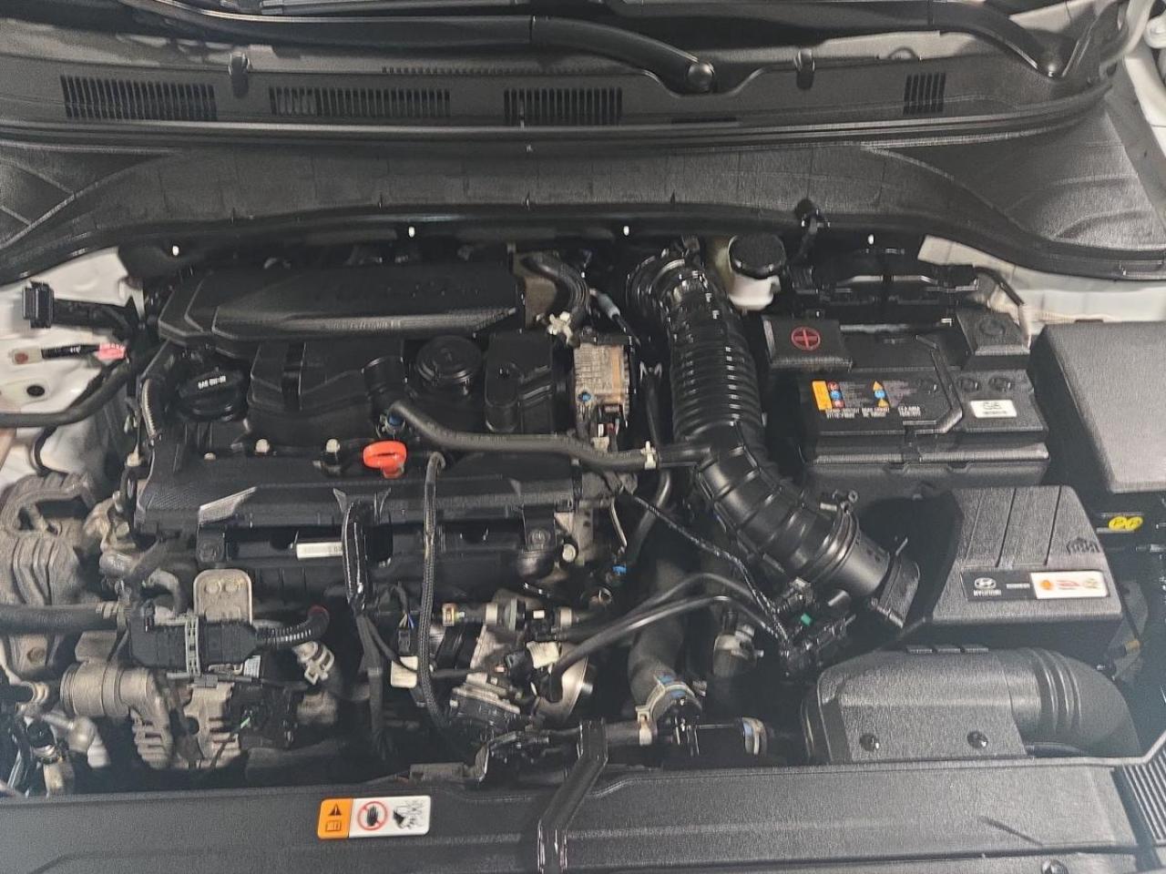 2023 Hyundai KONA N Line Photo