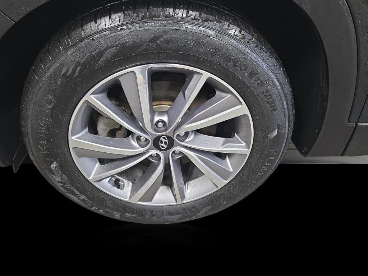 2020 Hyundai Santa Fe Luxury Photo