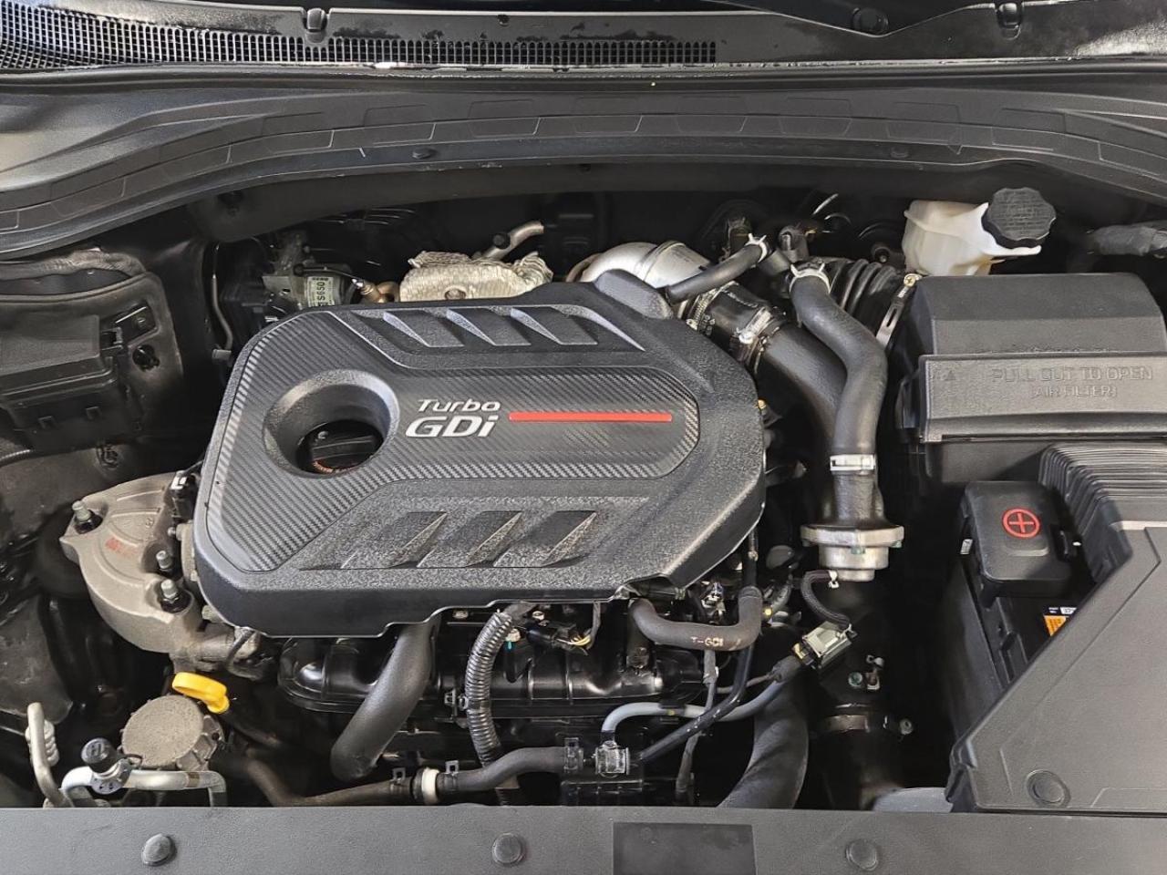 2020 Hyundai Santa Fe Luxury Photo