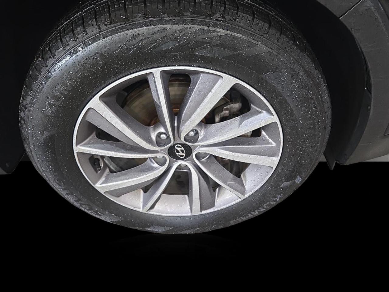 2020 Hyundai Santa Fe Luxury Photo