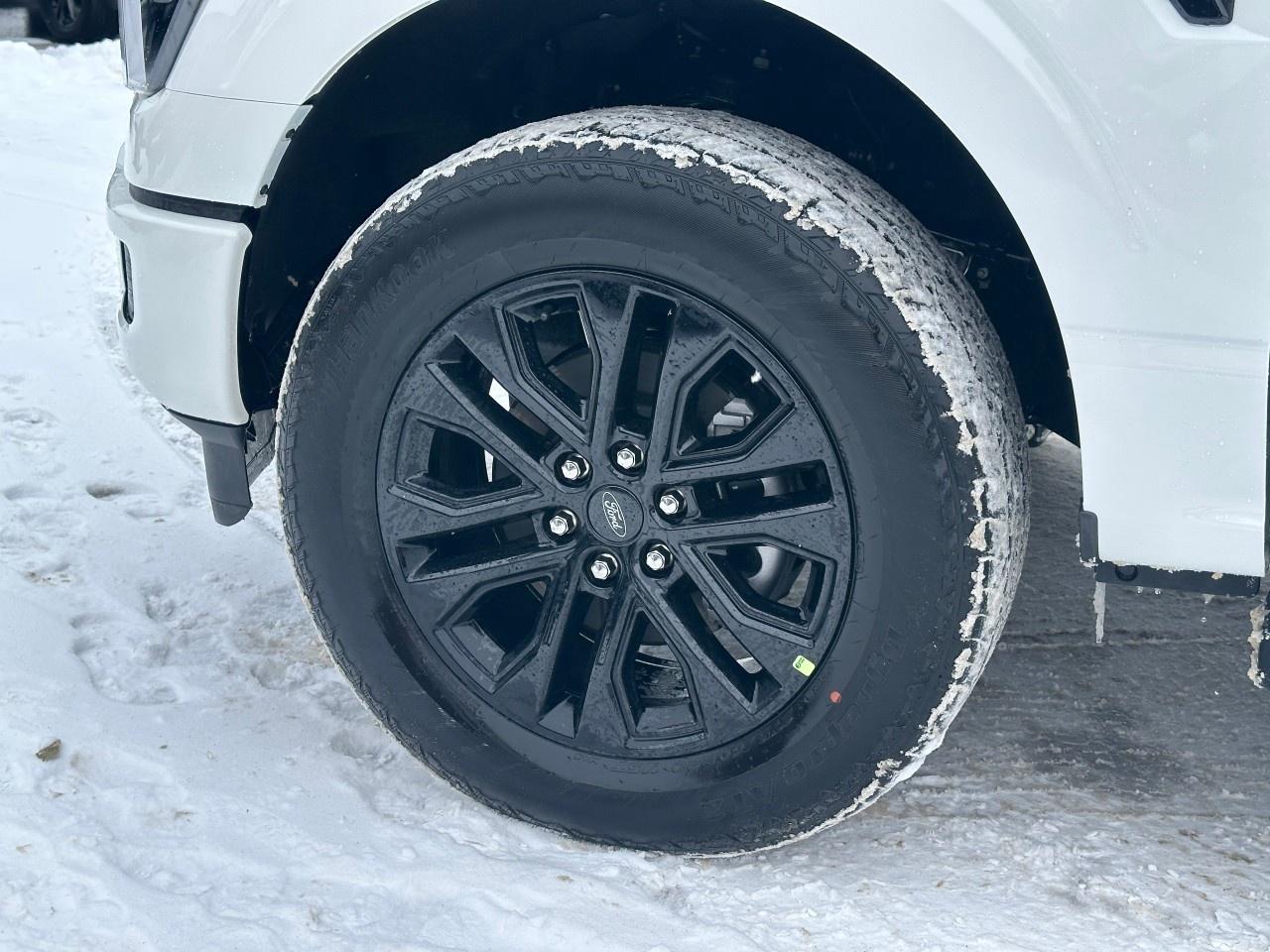 2025 Ford F-150 Lariat 4WD SuperCrew 5.5' Box Photo