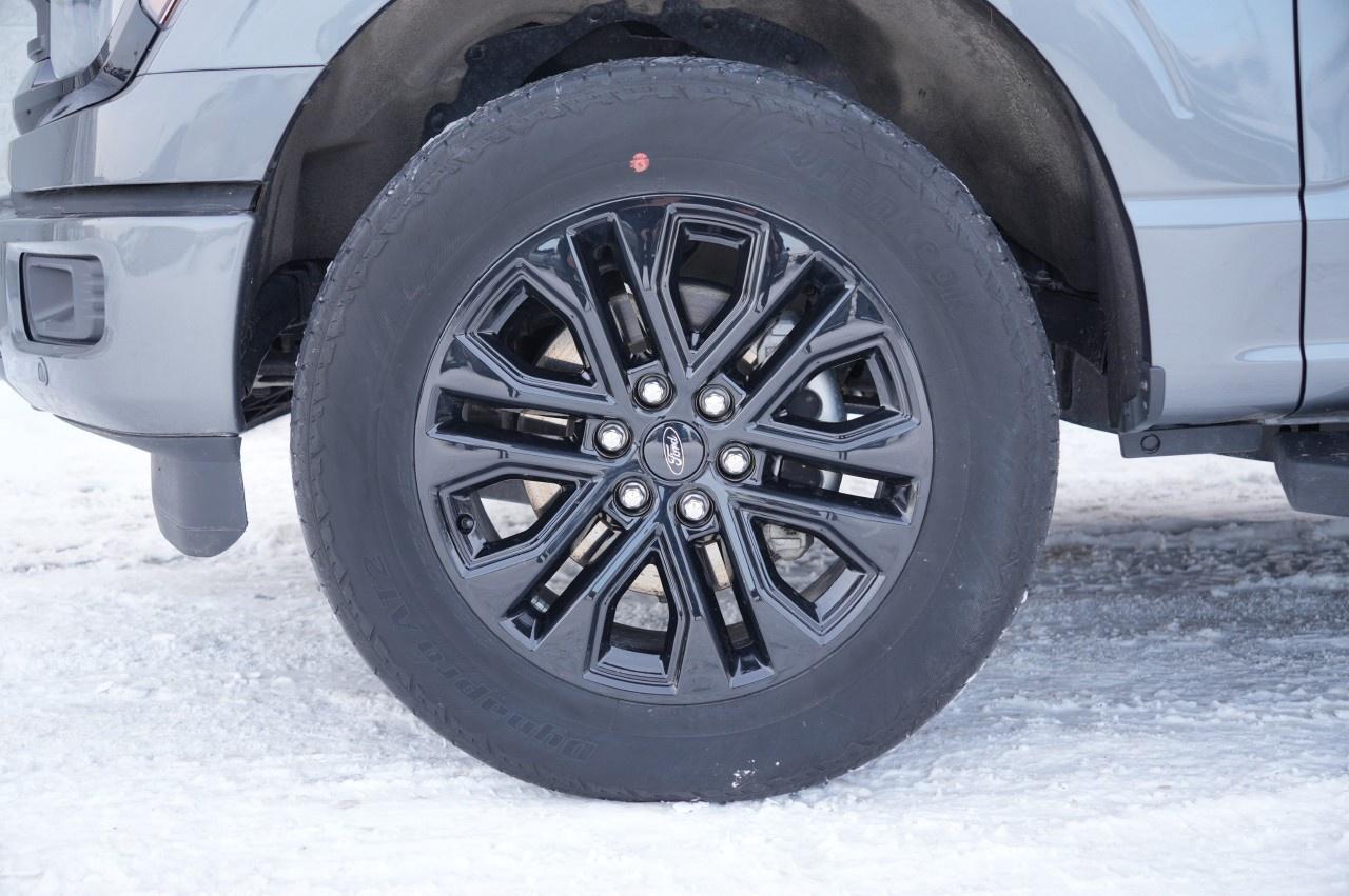 2024 Ford F-150 XLT 4WD SuperCrew 5.5' Box Photo