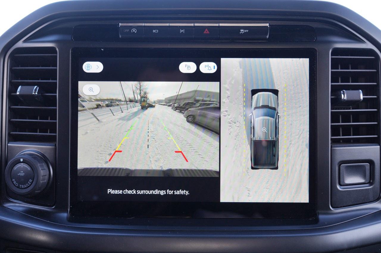 2024 Ford F-150 XLT 4WD SuperCrew 5.5' Box Photo