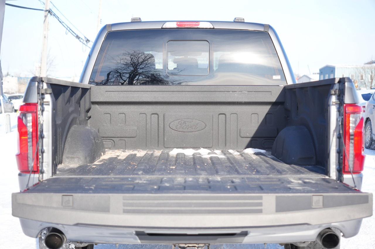 2024 Ford F-150 XLT 4WD SuperCrew 5.5' Box Photo