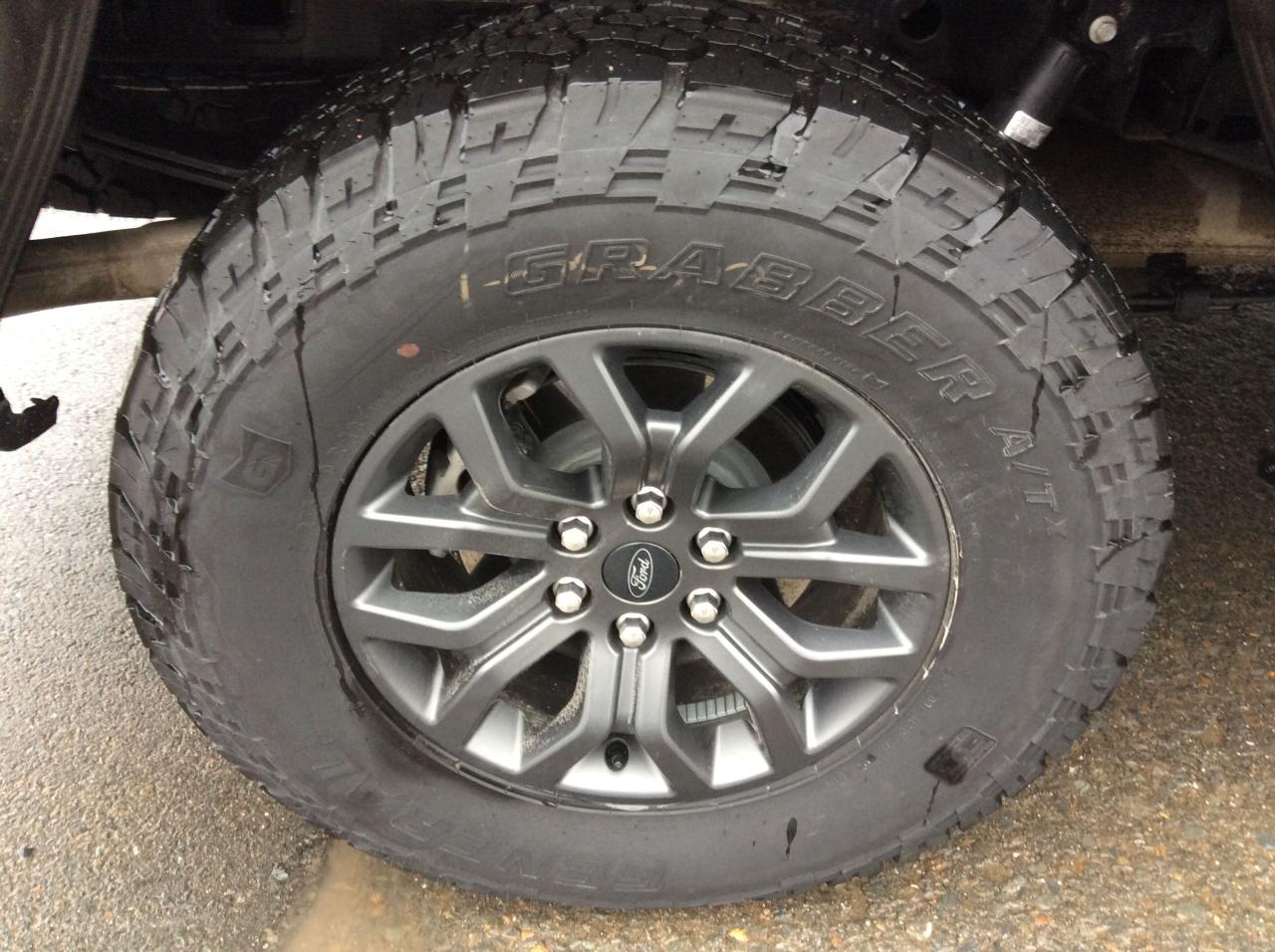 2025 Ford F-150 Tremor Photo