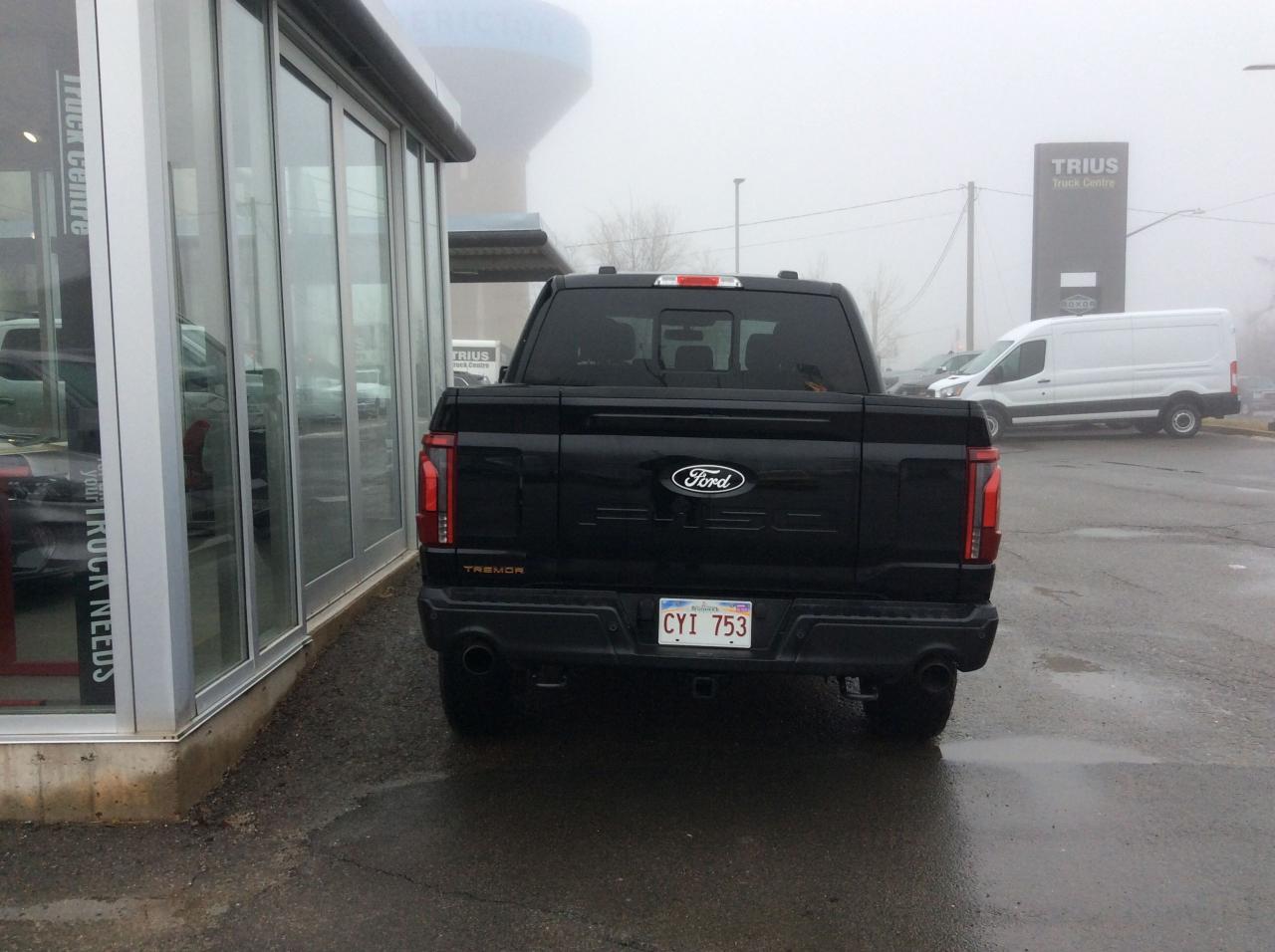 2025 Ford F-150 Tremor Photo