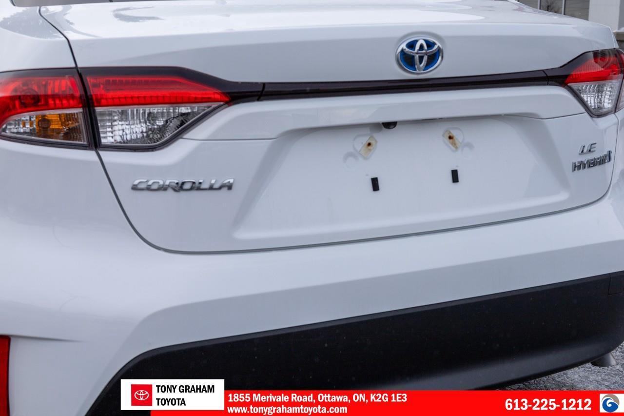 2024 Toyota Corolla Hybrid LE Photo