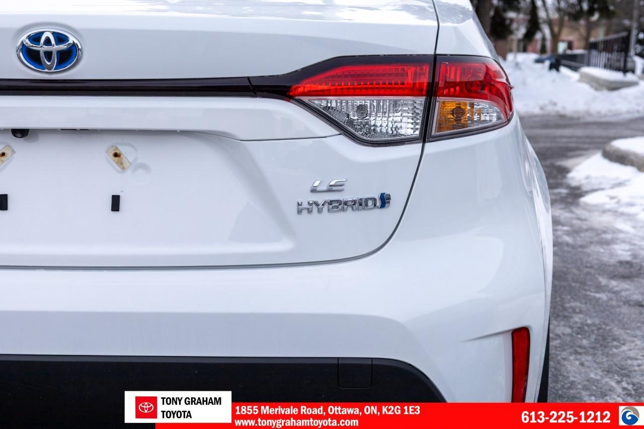 2024 Toyota Corolla Hybrid LE Photo