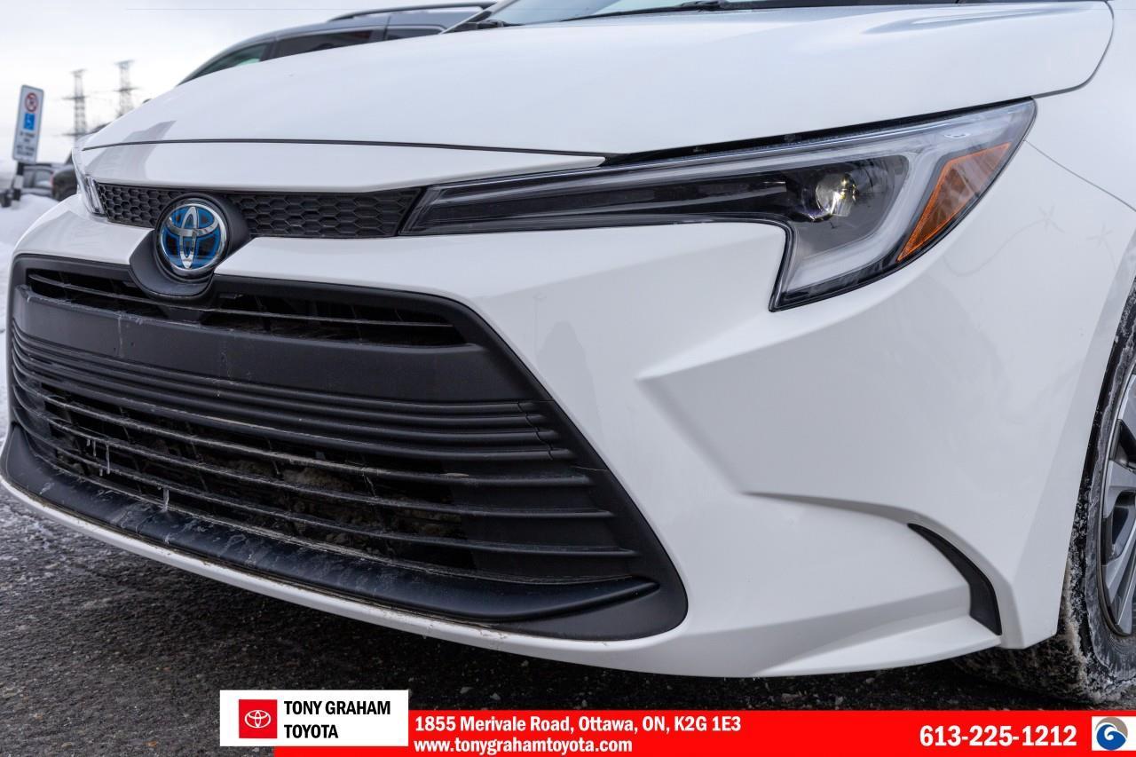 2024 Toyota Corolla Hybrid LE Photo
