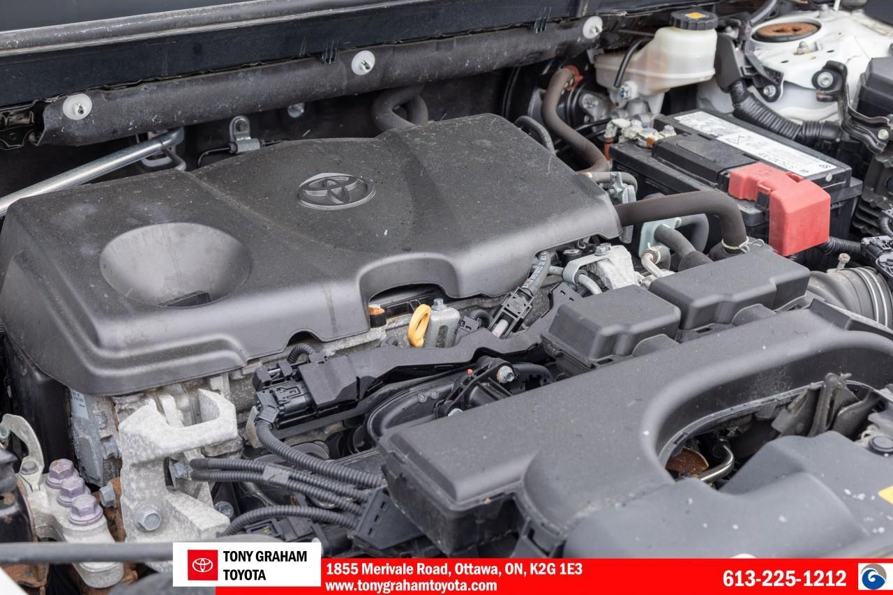 2020 Toyota RAV4 LE Photo