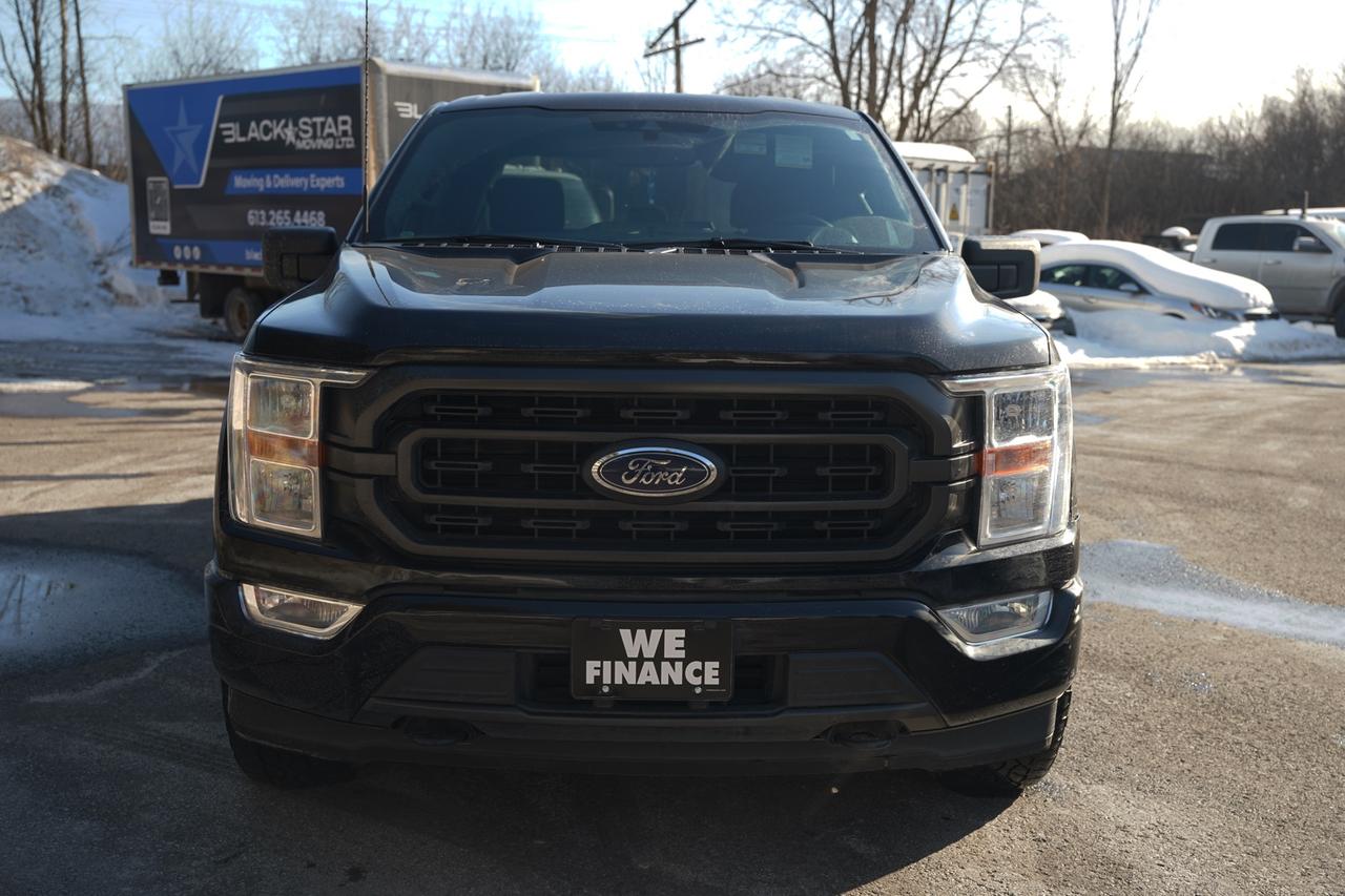 2022 Ford F-150 XL SuperCrew 6.5-ft. Bed 4WD Photo