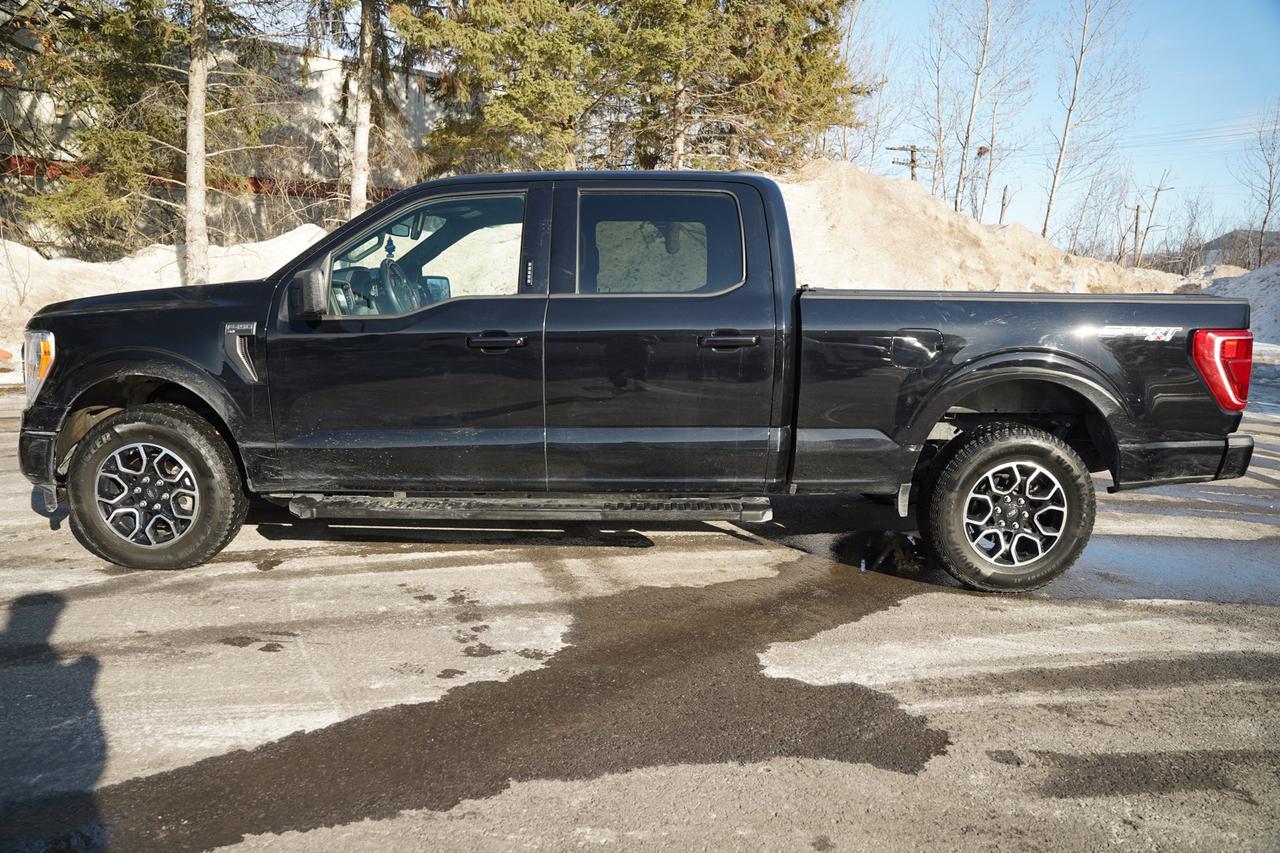 2022 Ford F-150 XL SuperCrew 6.5-ft. Bed 4WD Photo