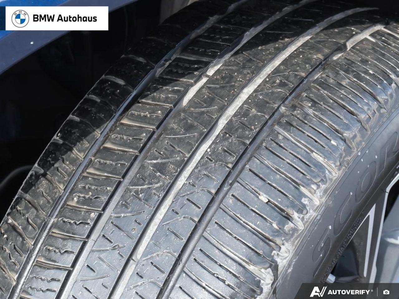 2022 BMW X5 xDrive40i Sports Activity Vehicle Photo