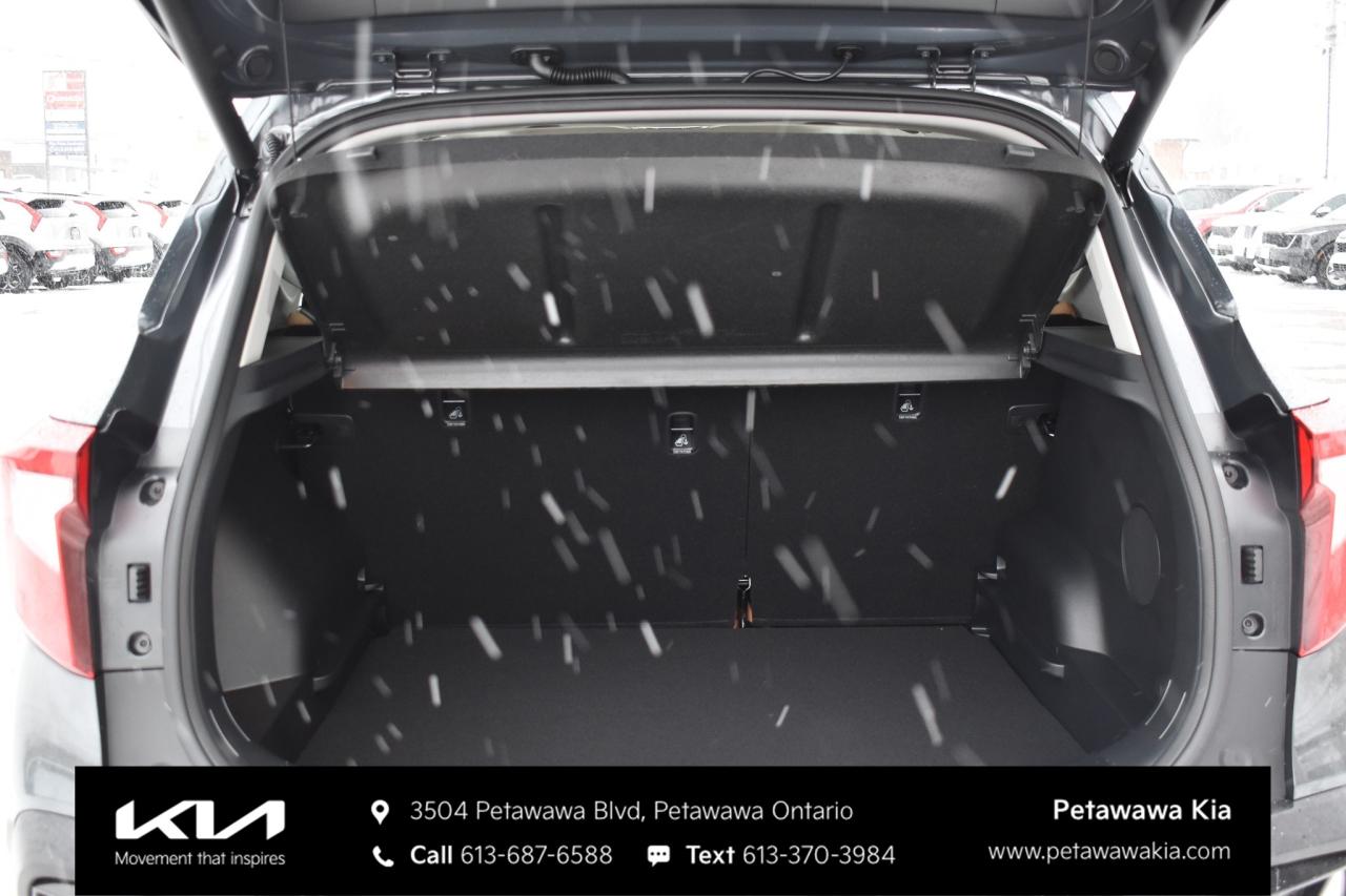 2026 Kia Seltos  Photo