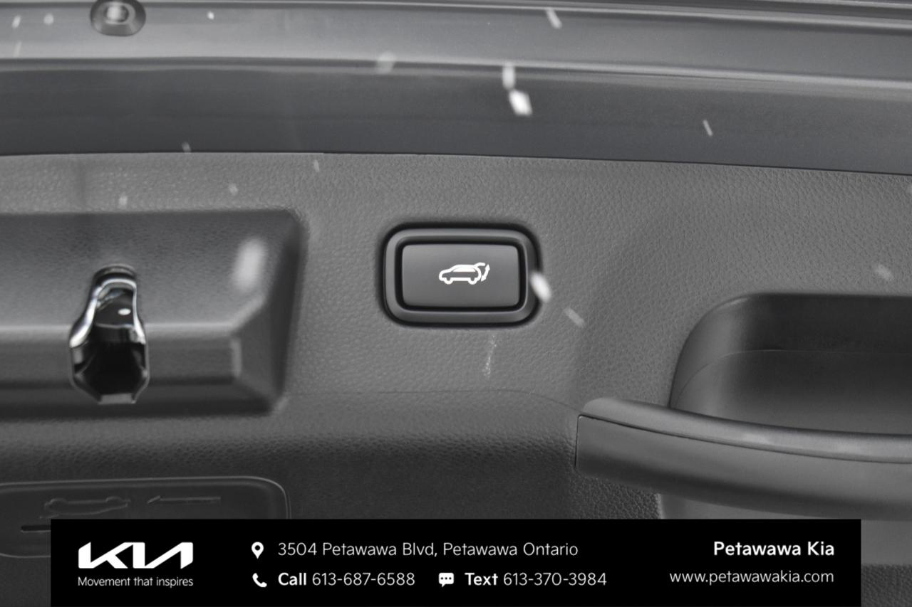 2026 Kia Seltos  Photo