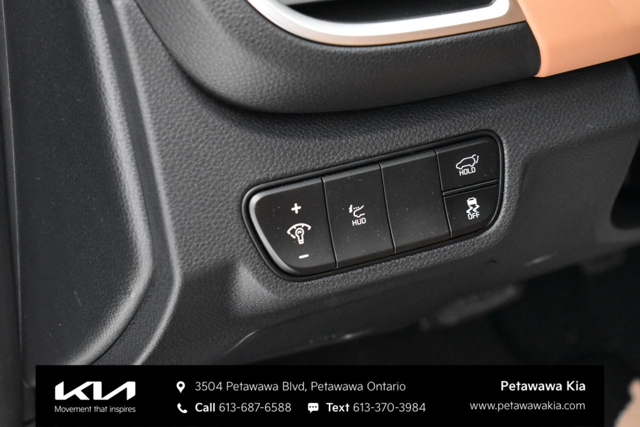 2026 Kia Seltos  Photo