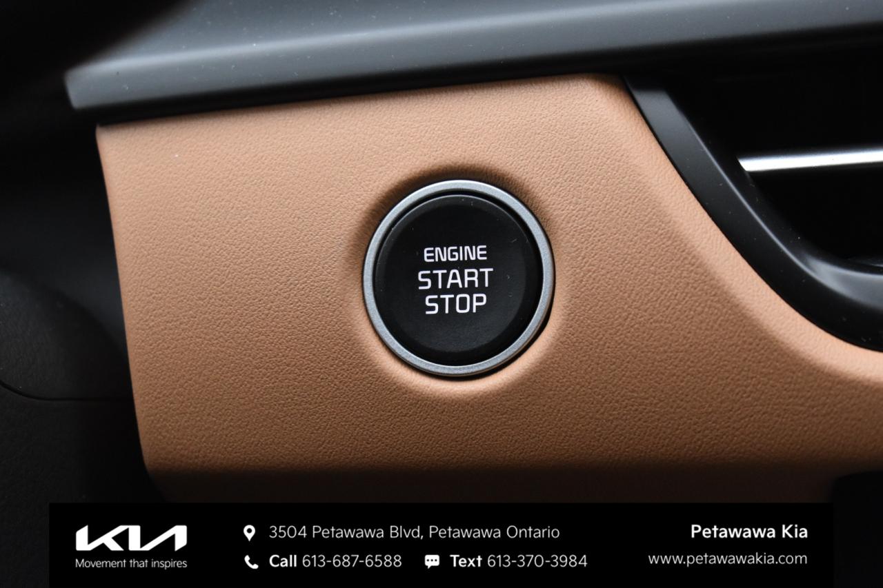 2026 Kia Seltos  Photo