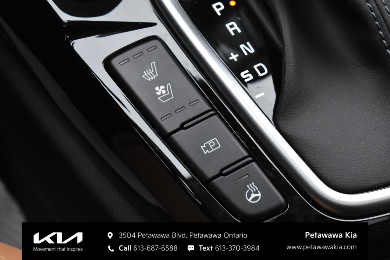 2026 Kia Seltos  Photo