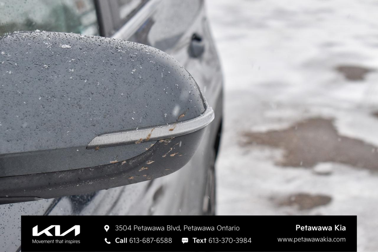 2026 Kia Seltos  Photo