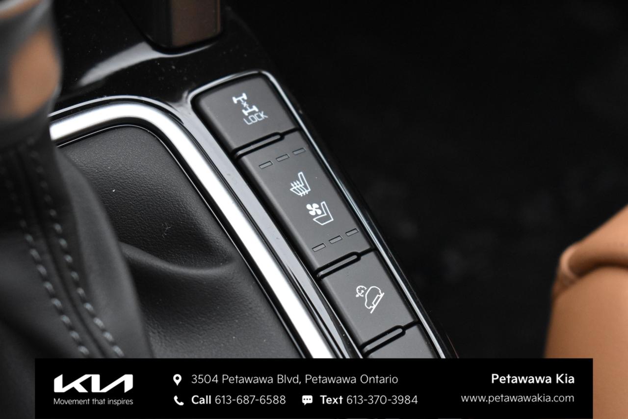 2026 Kia Seltos  Photo