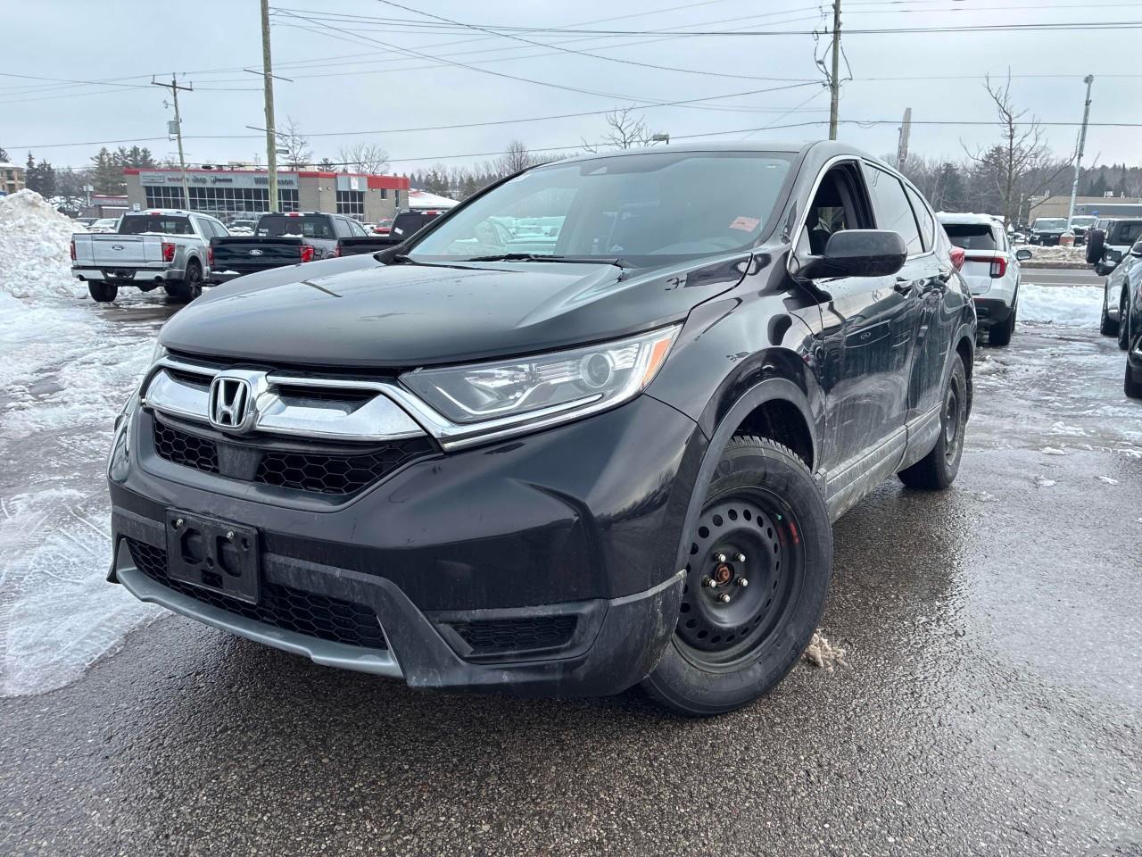 2019 Honda CR-V LX 4dr All-wheel Drive Photo