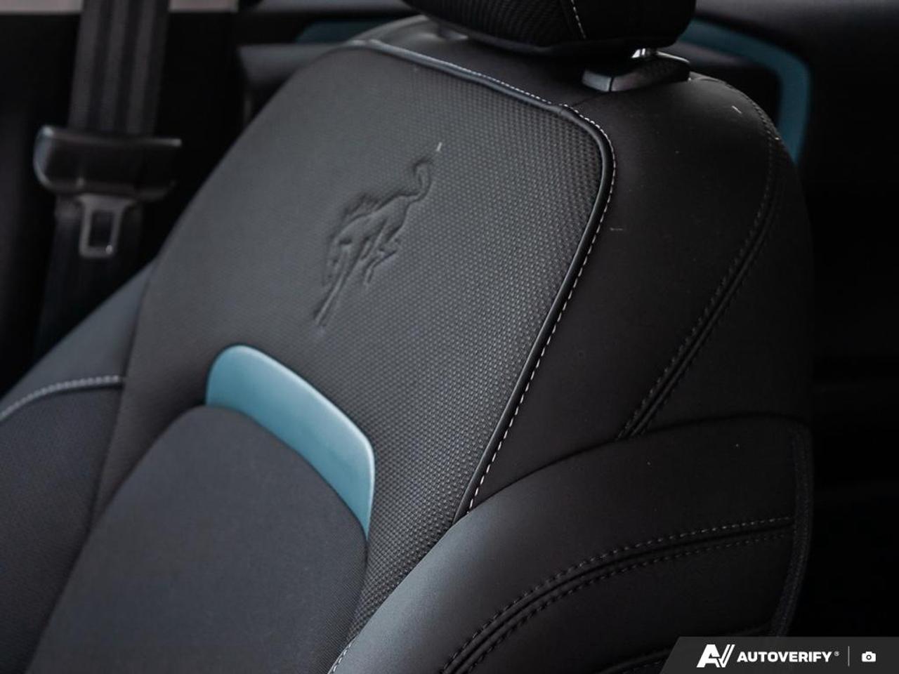 2023 Ford Bronco Sport Badlands Painted Black Roof Photo