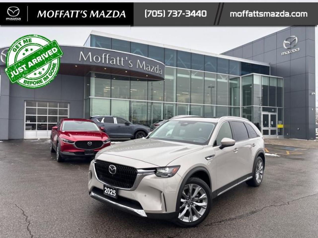 2025 Mazda CX-90 MHEV GT Photo