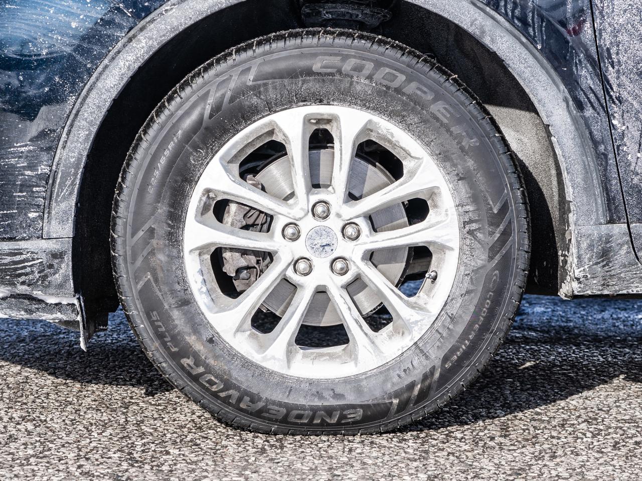 2021 Ford Escape SE AWD Photo