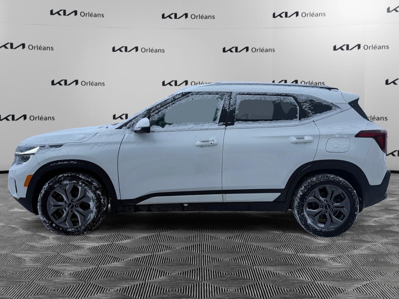 2024 Kia Seltos EX AWD Photo