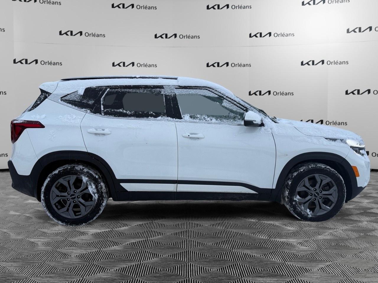 2024 Kia Seltos EX AWD Photo